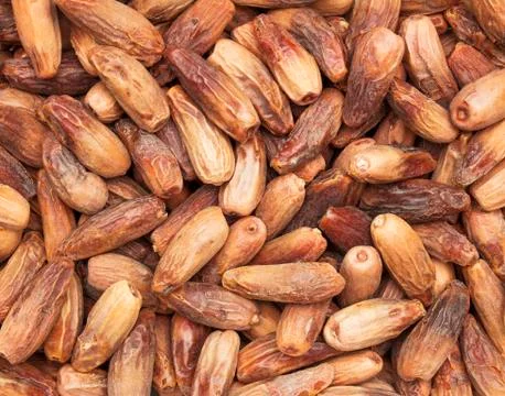 Dry Dates, Top View, Background Stock Photos