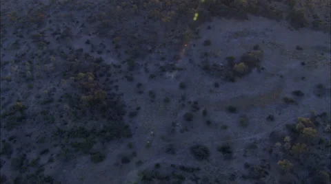 Dry Delta Stock Footage 39884271