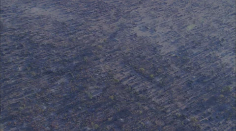 Dry Delta Stock Footage 39885040