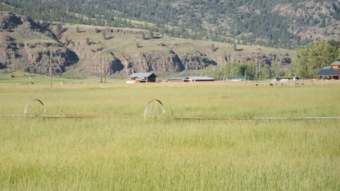 Dry Desert Environment Stock Footage 240645649