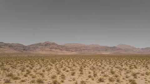 Dry Desert Stock Footage