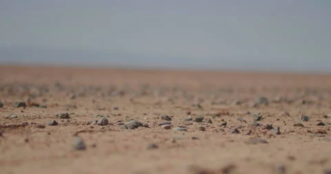 Dry Desert Ground With Rocks in Eastern Africa Stock Footage 144975667