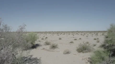 Dry Desert Landscape Stock-Footage 154472291