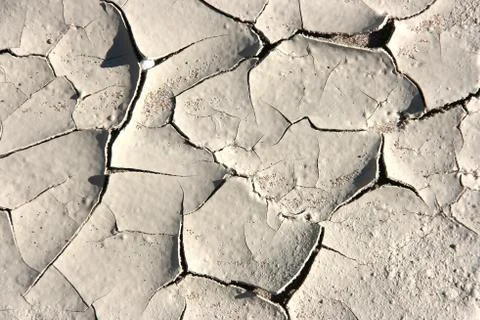 Dry desert mud background. Soil texture abstract. Stock Photos