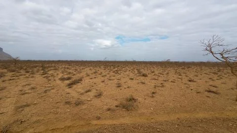 Dry desert plain under cloudy sky Stock Photos