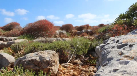 Dry desert rocks scene Stock Footage 33629243