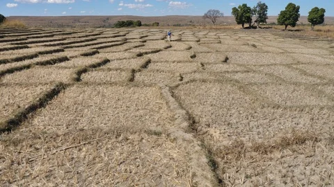 Dry Desolate View of Rice Terraces All Dried Up, Madagascar Stock Footage 125345390