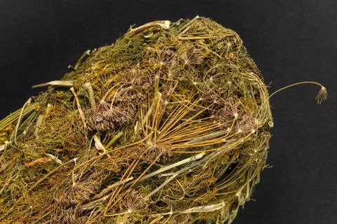 Dry Dill Herbal Background Texture Stock Photos
