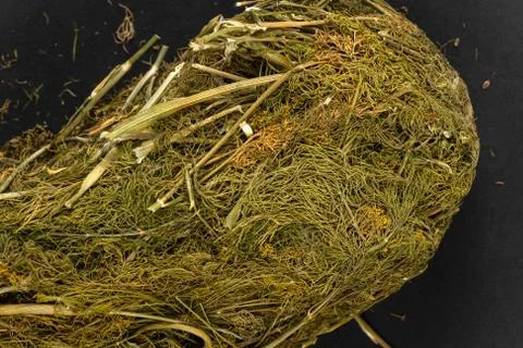 Dry Dill Herbal Background Texture Stock Photos