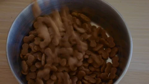 Dry dog food Vidéo 121597544
