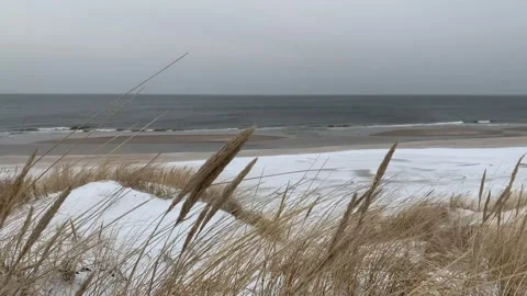 Dry dune grass moves in the wind. Stock Footage