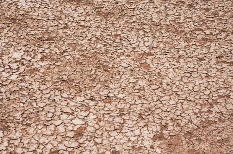 Dry earth background Stock Photos