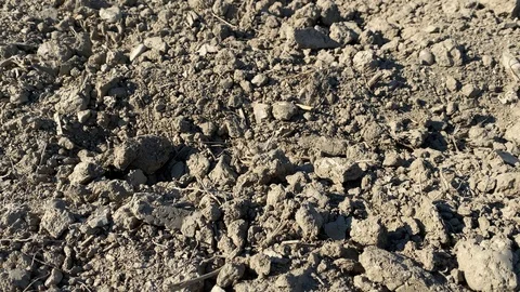 Dry Earth, Camera Tilt View Stock Footage 125484147