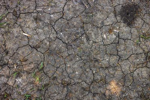 Dry earth cracking from drought and climate change Stock Photos