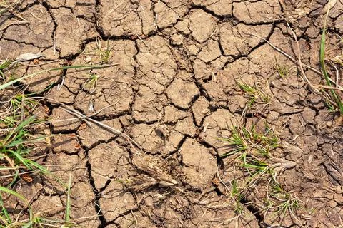 Dry earth global warming texture background An image of a dry earth global... Stock Photos