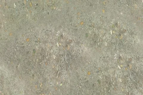 Dry Earth Ground Texture with Fallen Leaves Top View Stock Photos