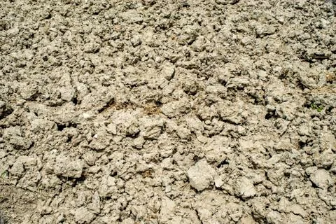 Dry earth Stock Photos