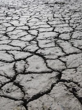 Dry earth Stock Photos