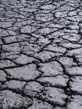 Dry earth Stock Photos
