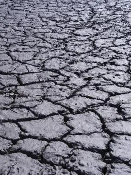 Dry earth Stock Photos