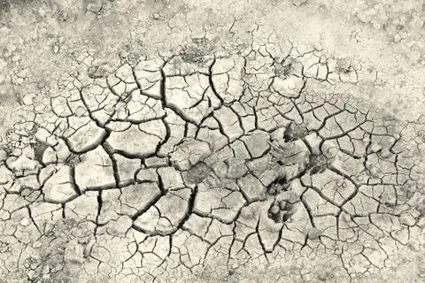 Dry earth Stock Photos