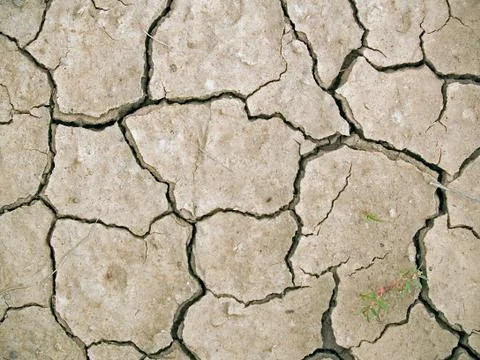 Dry earth Stock Photos