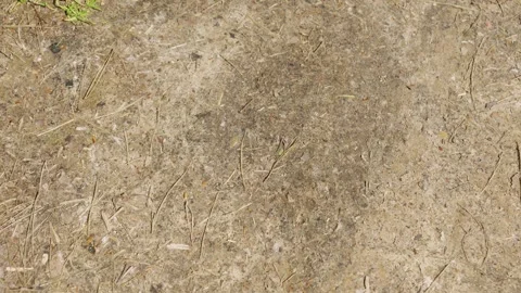 Dry Earth Texture Background, Arid Soil Surface Detail, drought 库存影片 335221419