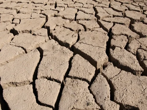 Dry earth to water in river Stock Footage 80414968