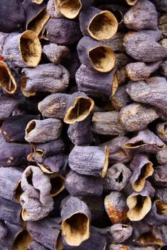 Dry eggplants  on rope Stock Photos