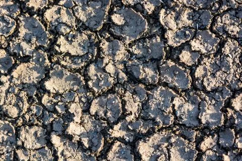 Dry fall ground with cracks Stock Photos