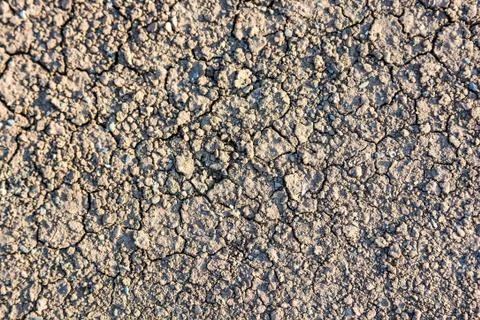 Dry fall ground with cracks Stock Photos