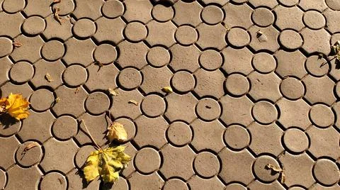 Dry fallen leaves atop patterned pavement at city walk Stock Photos