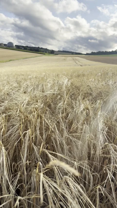 Dry field landscape under dramatic sky Stock Footage 319769525