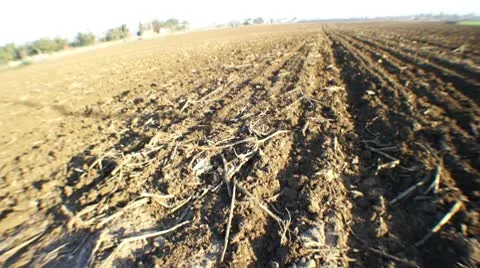 Dry field pan 스톡 동영상 10725155