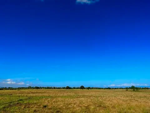 Dry field Foto stock