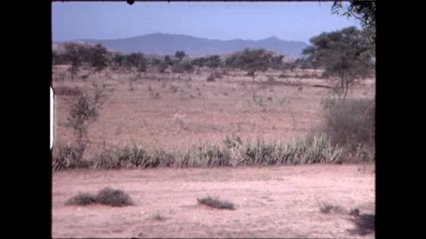 Dry Field with Sparse Vegetation Stock Footage 277976230