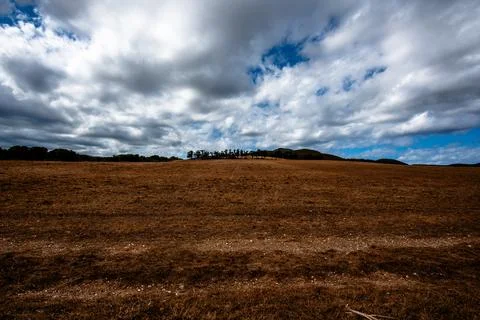 Dry Field with Trees Under Cloudy Sky Stock Photos