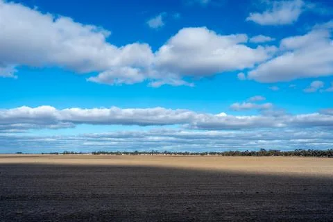 Dry fields and eucalyptus trees under a blue sky in Australia Stock Photos