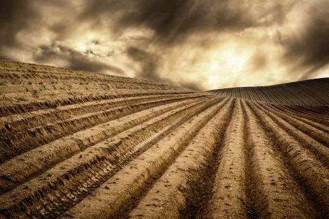 Dry fields in a dramatic light Stock Photos