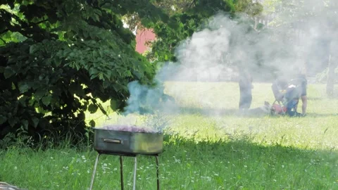 Dry firewood and coals start burning on a fire in a black barbecue grill on a Stock Footage 242538627