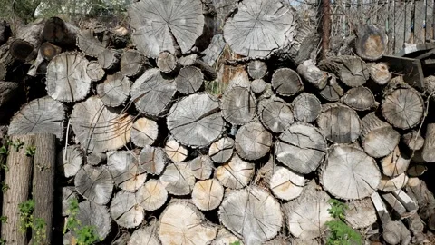 Dry firewood in the backyard Stock Footage 274525247