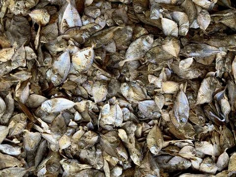 Dry fish background consisting of various small dry fishes Foto stock