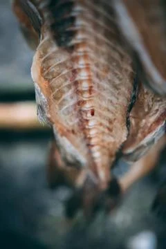 Dry fish left overs bones hanging outside on the wooden construction in Iceland Stock Photos