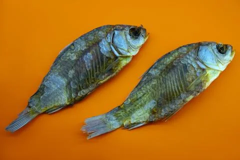 Dry fish on a orange background, closeup Stock Photos