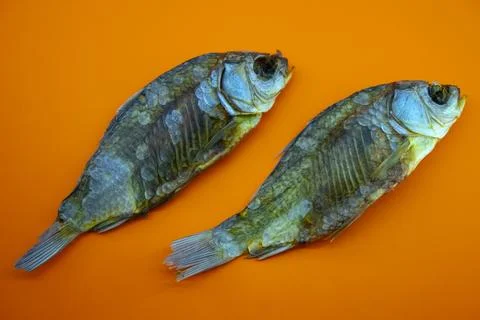 Dry fish on a orange background, closeup Stock Photos