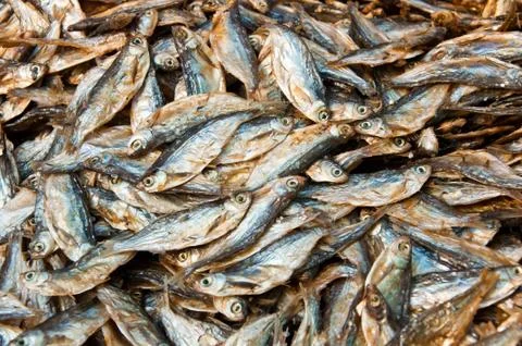 Dry fish Stock Photos
