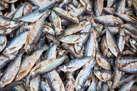 Dry fish Stock Photos