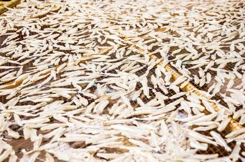 Dry fish Stock Photos