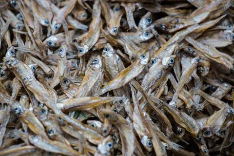Dry fish Stock Photos