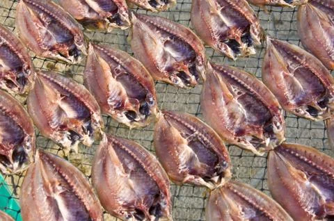 Dry fish Stock Photos